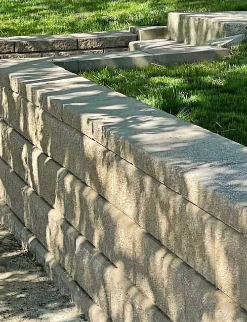 cc5dfb_43961cd2abf44ae39e5d2be4b50fee5a~mv2