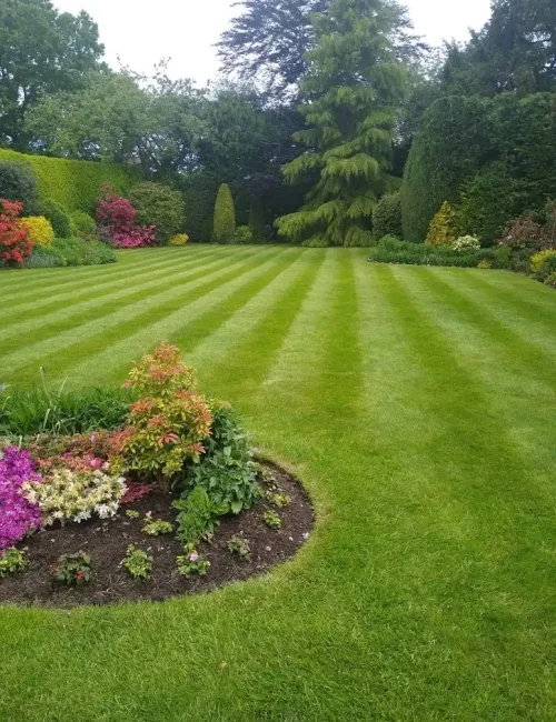 oQCVuR47iZUYsd4U9YUrsukdLXwIWOUjZnOEi2jV